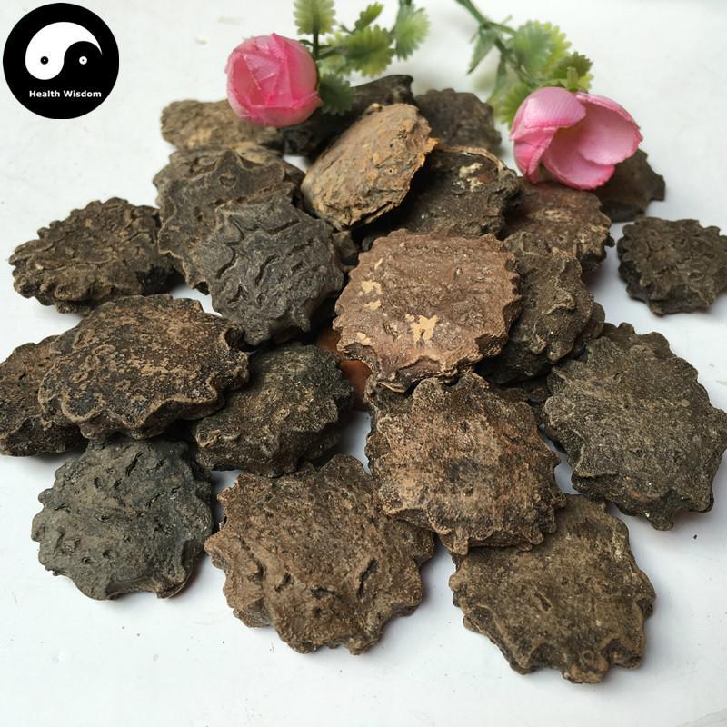 Mu Bie Zi 木鱉子, Semen Momordicae, Cochinchina Momordica Seed-Health Wisdom™