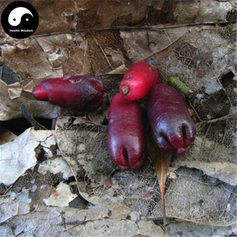 Mu Ding Xiang 母丁香, Clove Fruit, Fructus Syzygium Aromaticum, Ji She Xiang-Health Wisdom™