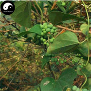 Mu Fang Ji 木防己, Radix Coculus Trilobus, Coculus Trilobus Root-Health Wisdom™