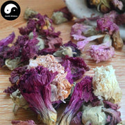 Mu Fu Rong Hua 木芙蓉花, Flos Hibisci Mutabilis, Cottonrose Hibiscus Flower-Health Wisdom™