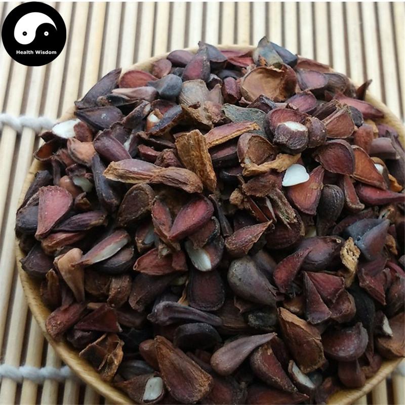 Mu Gua Zi 木瓜籽, Fructus Chaenomelis, Common Flowering Quince Fruit, Chinese Quince Fruit-Health Wisdom™
