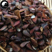 Mu Gua Zi 木瓜籽, Fructus Chaenomelis, Common Flowering Quince Fruit, Chinese Quince Fruit-Health Wisdom™