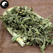Mu Hao 牡蒿, Herba Artemisis Japonica Leaf, Japanese Wormwood Herb-Health Wisdom™