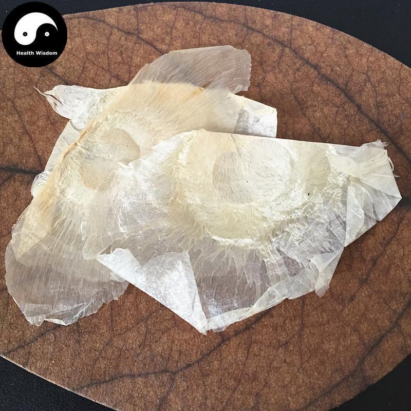 Mu Hu Die 木蝴蝶, Yu Hu Die, Qiang Zhang Zhi, Semen Oroxyli, Indian Trum etflower Seed-Health Wisdom™