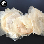 Mu Hu Die 木蝴蝶, Yu Hu Die, Qiang Zhang Zhi, Semen Oroxyli, Indian Trum etflower Seed-Health Wisdom™
