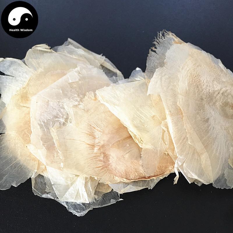 Mu Hu Die 木蝴蝶, Yu Hu Die, Qiang Zhang Zhi, Semen Oroxyli, Indian Trum etflower Seed-Health Wisdom™