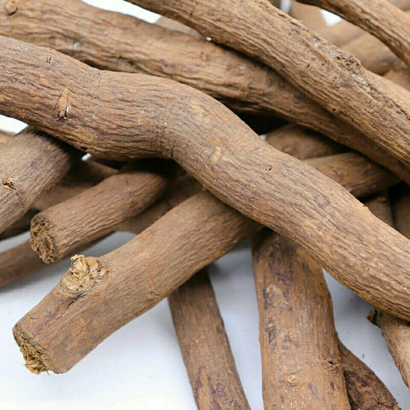 Mu Jiang Zi Gen 木姜子根, Litsea Euosma Roots, Radix Litseamollis, Shan Hu Jiao Gen-Health Wisdom™