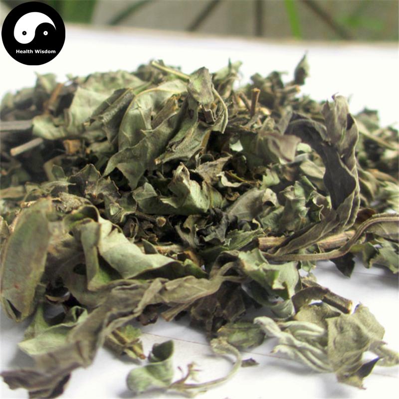 Mu Jing Ye 牡荊葉, Folium Viticis Cannabifoliae, Folium Viticis Negundo-Health Wisdom™