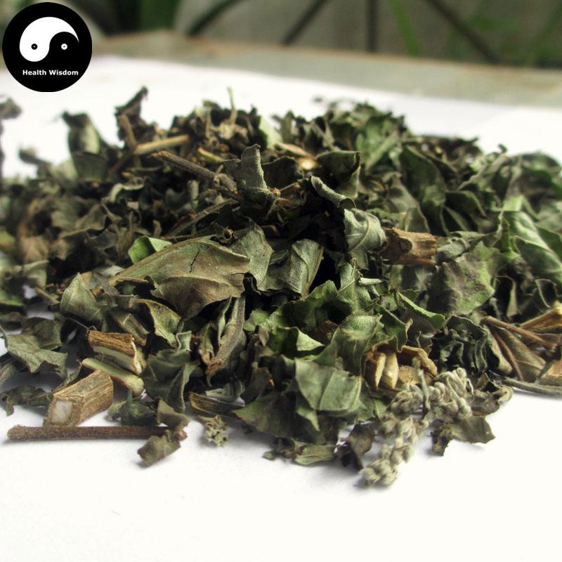 Mu Jing Ye 牡荊葉, Folium Viticis Cannabifoliae, Folium Viticis Negundo-Health Wisdom™