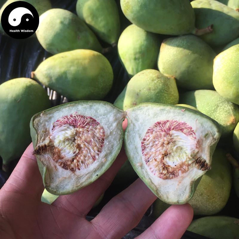 Mu Man Tou 木馒头, Climbing Fig Receptacle, Climbing Fig Fruit, Pi Li Guo, Nai Mu Guo-Health Wisdom™