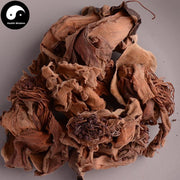 Mu Mian Hua 木棉花, Flos Gossampini, Common Bombax Flower, Flos Bombacis Malabarici-Health Wisdom™