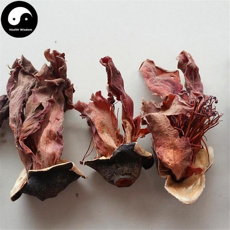 Mu Mian Hua 木棉花, Flos Gossampini, Common Bombax Flower, Flos Bombacis Malabarici-Health Wisdom™