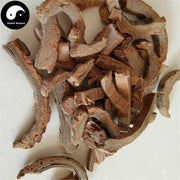 Mu Mian Pi 木棉皮, Cortex Bombax Malabaricum, Cotton Tree Bark-Health Wisdom™