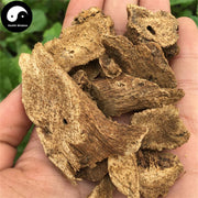 Mu Xiang 木香, Costustoot Root, Radix Aucklandiae, Aucklandia Lappa-Health Wisdom™