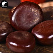 Mu Yao Zi 木腰子, Bauhinia Championii Seed, Guo Jiang Long Zi, Yin Yang Zi-Health Wisdom™