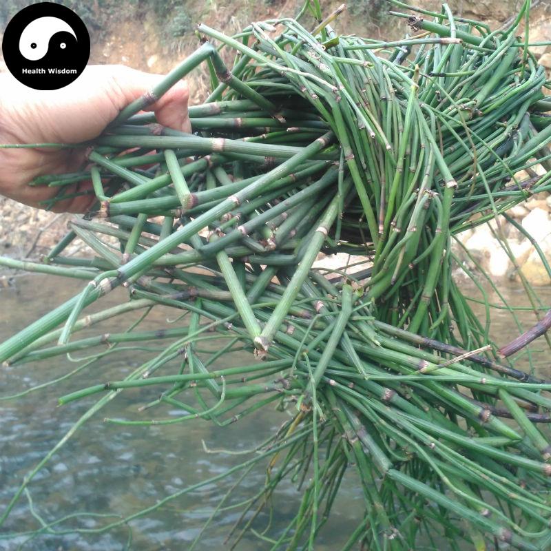 Mu Zei Cao 木贼草, Herba Equiseti Hiemalis, Common Scouring Rush Herb-Health Wisdom™