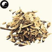 Nan Ban Lan Gen 南板藍根, Radix Baphicacanthis Cusiae, Baphicacanthus Root-Health Wisdom™
