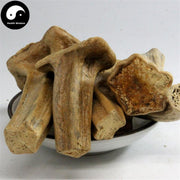 Nan Gua Di 南瓜蒂, Pedicellus Cucurbitae Fructus, Pedicel Of Cushaw Fruit-Health Wisdom™