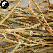 Nan Gua Teng 南瓜藤, Cushaw Stem, Caulis Cucurbitae, Nan Gua Man-Health Wisdom™