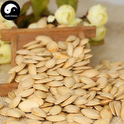 Nan Gua Zi 南瓜子, Semen Cucurbitae, Pumpkin Seed, Cushaw Seed-Health Wisdom™