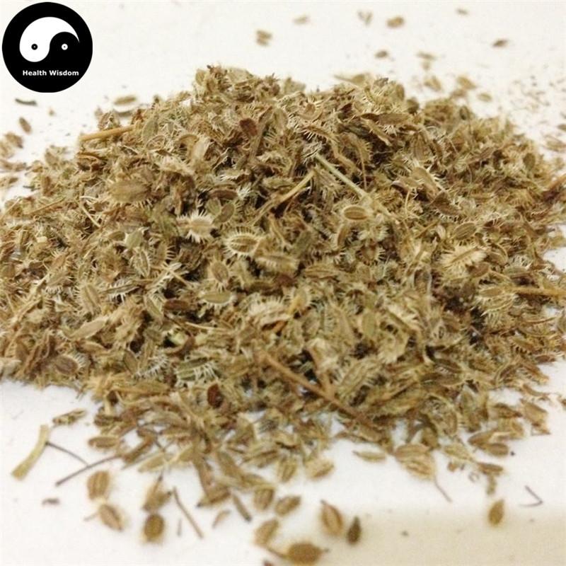 Nan He Shi 南鶴虱, Fructus Carotae-Health Wisdom™