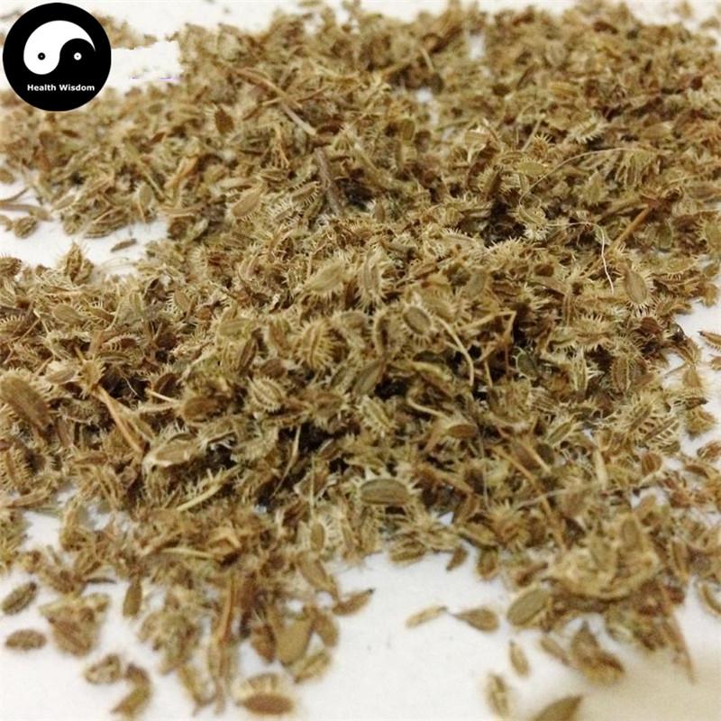 Nan He Shi 南鶴虱, Fructus Carotae-Health Wisdom™