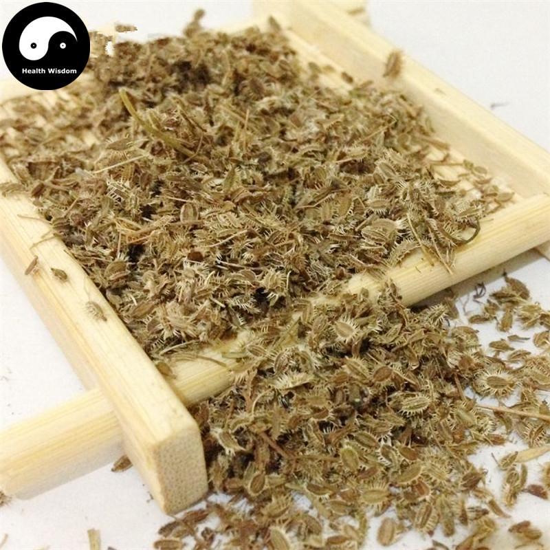 Nan He Shi 南鶴虱, Fructus Carotae-Health Wisdom™