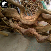 Nan She Teng Gen 南蛇藤根, Caulis Celastri Root, Stem of oriental bittersweet-Health Wisdom™