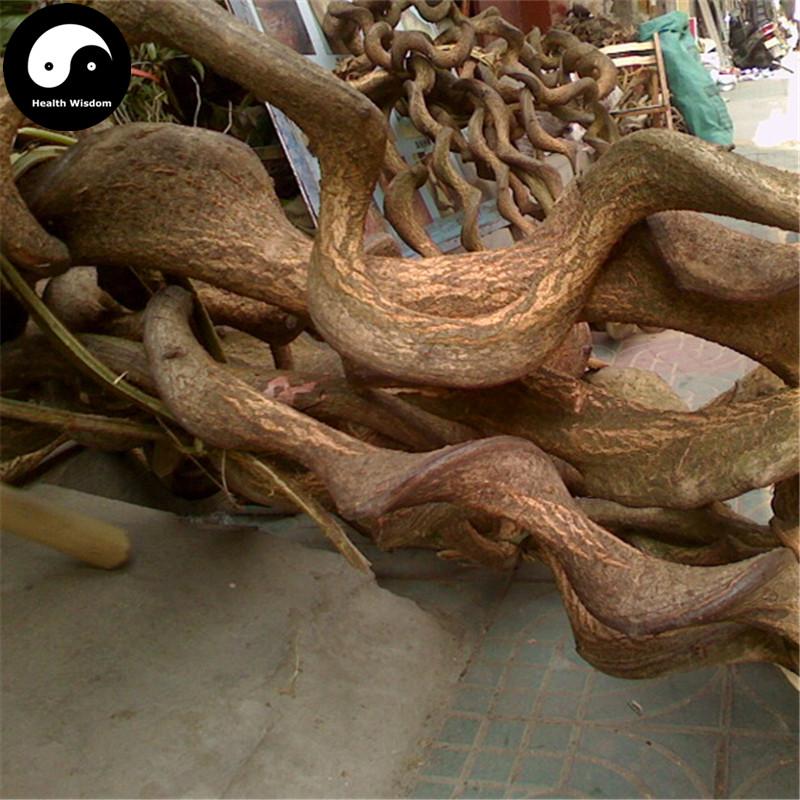 Nan She Teng Gen 南蛇藤根, Caulis Celastri Root, Stem of oriental bittersweet-Health Wisdom™