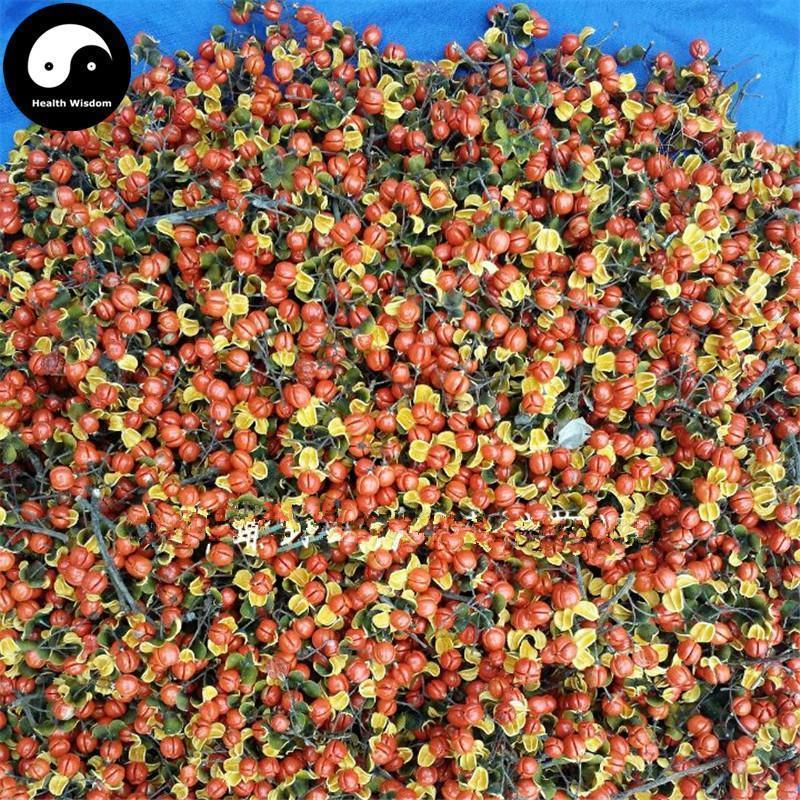 Nan She Teng Guo 南蛇藤果, Caulis Celastri Fruit, Oriental Bittersweet, He Huan Hua 合欢花-Health Wisdom™