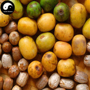 Nan Suan Zao 南酸枣, Guang Zao, Fructus Choerospondiatis, Wu Yan Guo-Health Wisdom™