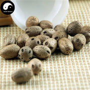 Nan Suan Zao 南酸枣, Guang Zao, Fructus Choerospondiatis, Wu Yan Guo-Health Wisdom™