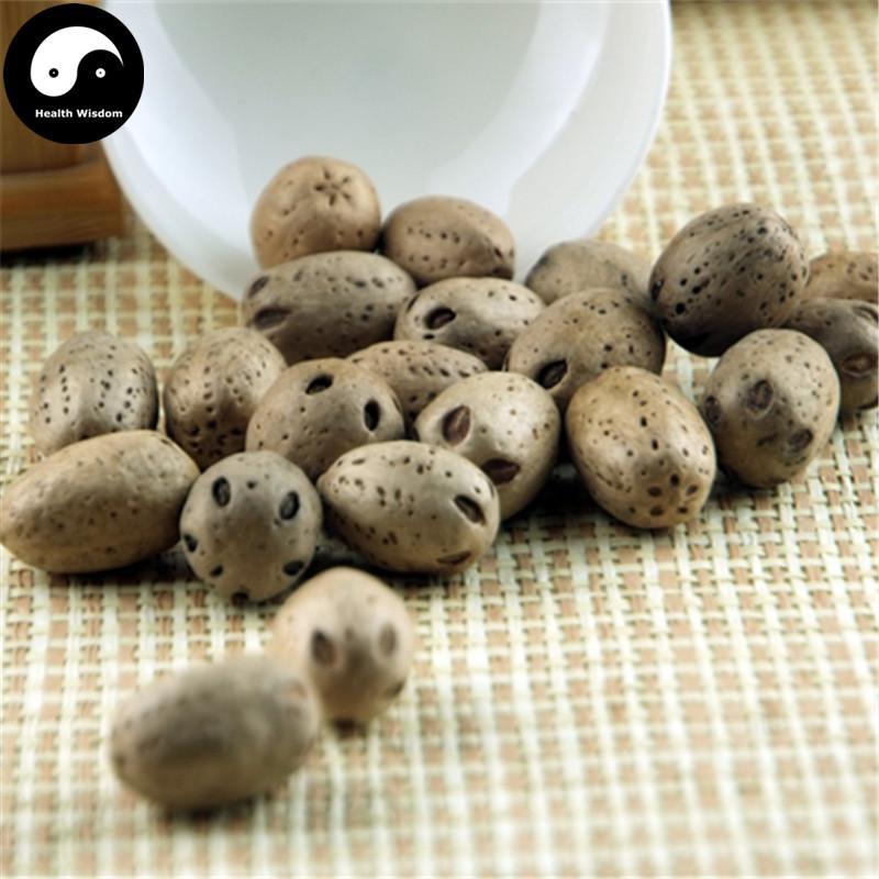 Nan Suan Zao 南酸枣, Guang Zao, Fructus Choerospondiatis, Wu Yan Guo-Health Wisdom™