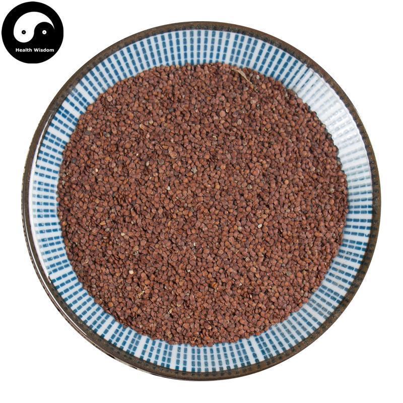 Nan Tian Xian Zi 南天仙子, Hygrophila Salicifolia Seed-Health Wisdom™