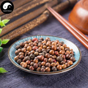 Nan Tian Zhu Zi 天竺子, Fructus Nandinae Domesticae-Health Wisdom™