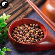 Nan Tian Zhu Zi 天竺子, Fructus Nandinae Domesticae-Health Wisdom™