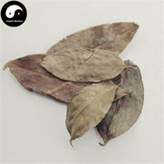 Nan Zhu Ye 南烛叶, Vaccinium Bracteatum Leaf, Wu Fan Shu 乌饭叶-Health Wisdom™