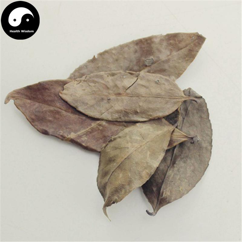 Nan Zhu Ye 南烛叶, Vaccinium Bracteatum Leaf, Wu Fan Shu 乌饭叶-Health Wisdom™