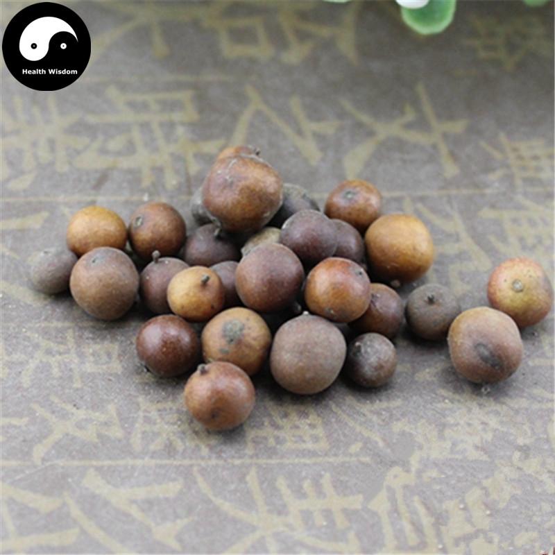 Nan Zhu Zi 南燭子, Asiatic Bilberry, Nan Tian Zhu Zi-Health Wisdom™