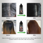Natural Brown Hair Color Permanent Hair Coloring Shampoo Long Lasting Black Hair Dye Shampoo For Women Men Professional Dye-Health Wisdom™