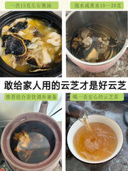 Natural Dried Turkey Tail Mushroom Coriolus Versicolor Tea Health Food Yun Zhi-Health Wisdom™
