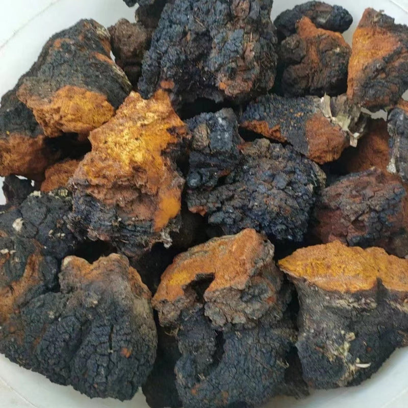 Natural Inonotus Obliquus, Dried Chaga Mushroom, Bai Hua Shu Rong 白桦树茸-Health Wisdom™