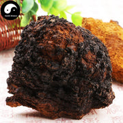 Natural Inonotus Obliquus, Dried Chaga Mushroom, Bai Hua Shu Rong 白桦树茸-Health Wisdom™