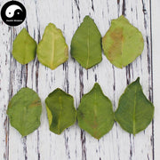 Ning Meng Ye 檸檬葉, Lemon Leaf-Health Wisdom™