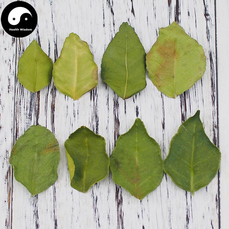 Ning Meng Ye 檸檬葉, Lemon Leaf-Health Wisdom™