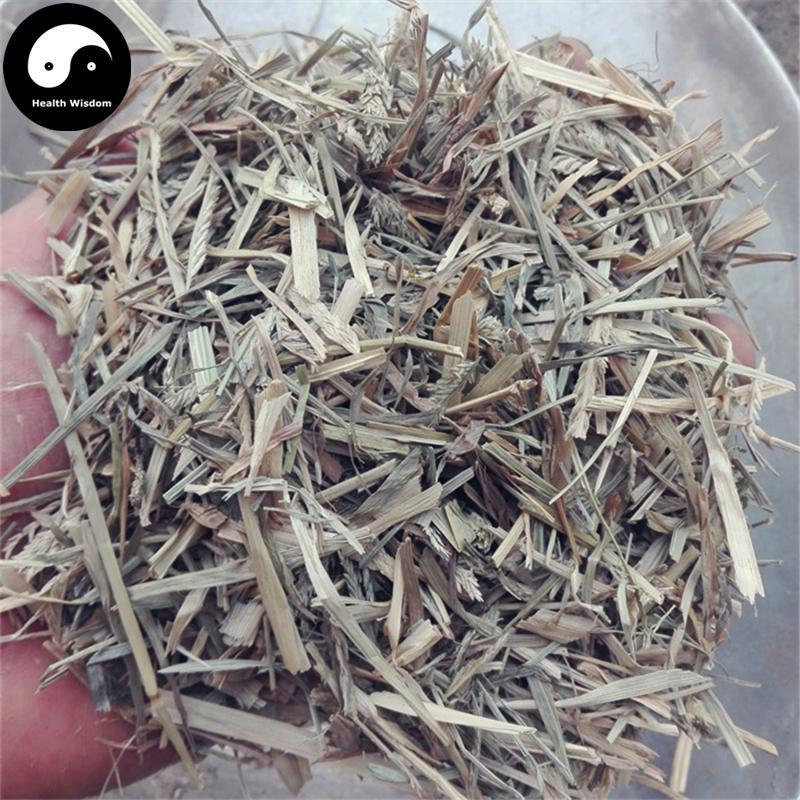 Niu Jin Cao 牛筋草, Herba Eleusines Indicae, Goosegrass Herb-Health Wisdom™