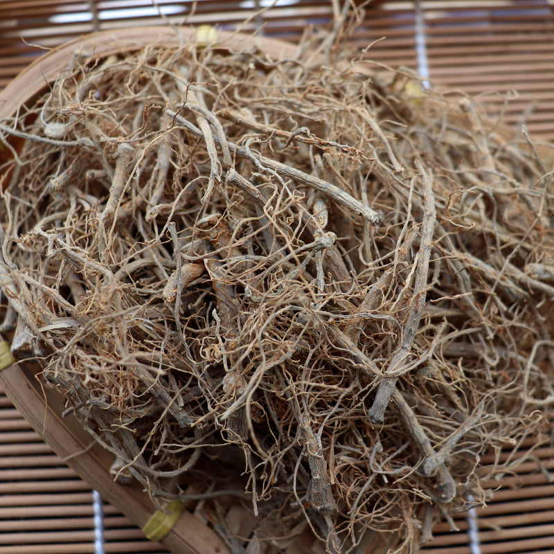 Notoginseng End Roots, Radix Pseudoginseng, San Qi, Tian Qi Xu 田七须-Health Wisdom™