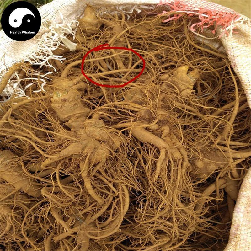 Notoginseng End Roots, Radix Pseudoginseng, San Qi, Tian Qi Xu 田七须-Health Wisdom™