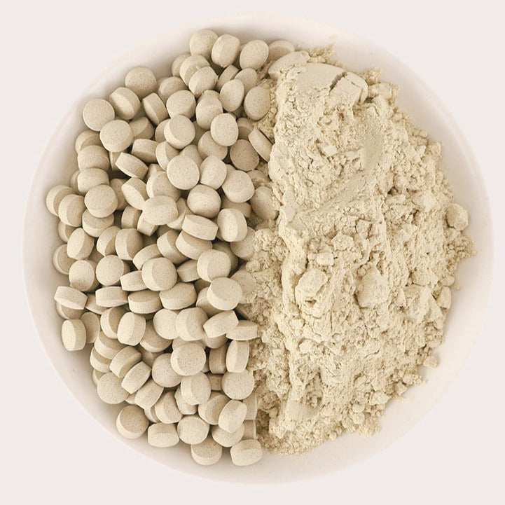Notoginseng Root Pills, Pseudoginseng Root Powder, San Qi, Tian Qi Pian 田七片-Health Wisdom™
