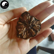 Nuo Li Guo 诺丽果, Dried Morinda Citrifolia, Dried Noni Fruits, Hai Ba Ji Tian-Health Wisdom™